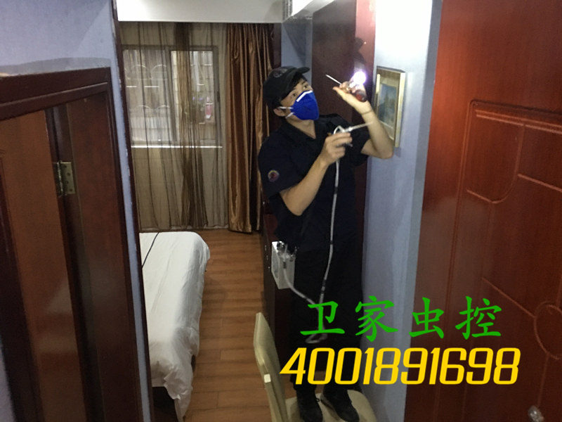 连南县治白蚁:家中出现白蚁怎么消灭干净