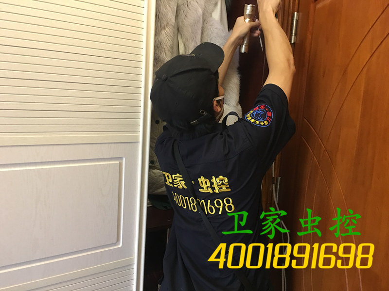 英德市装修白蚁预防公司:白蚁危害的特点