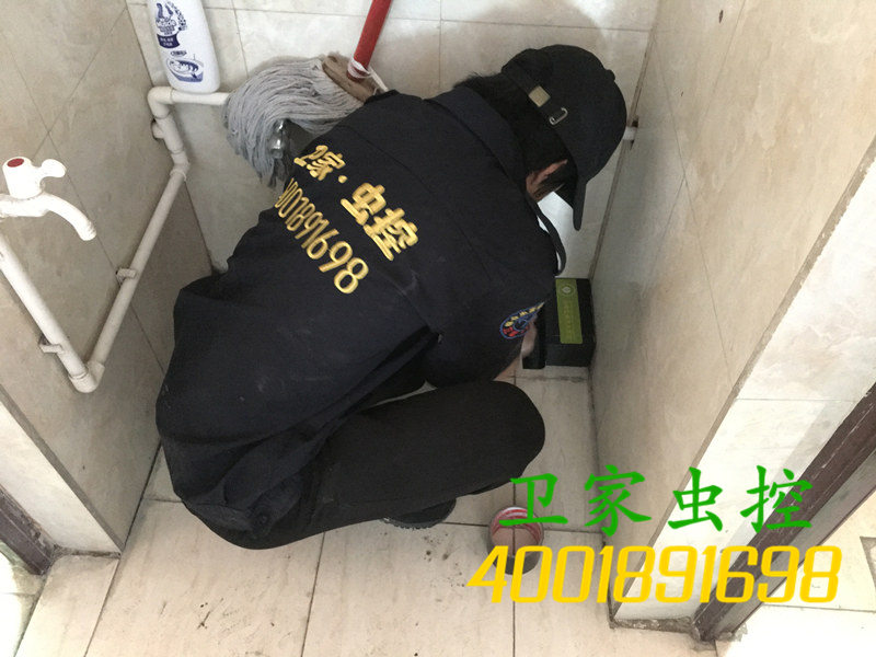 韶关乳源县白蚁防治所:今年韶关市区已经有很多居民家中发现白蚁活动踪迹