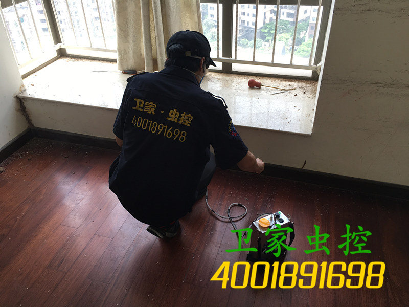 韶关始兴县白蚁防治所:家庭白蚁生长过程和危害