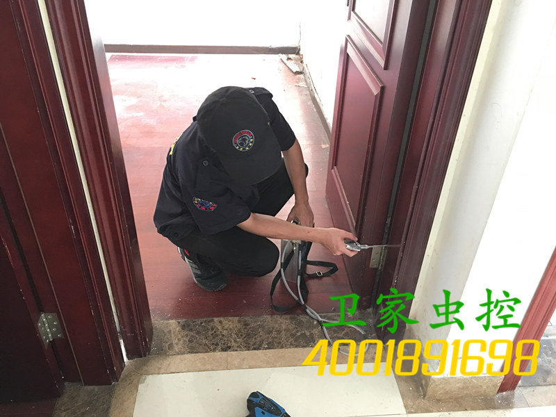 韶关翁源县白蚁防治所：每年白蚁到处纷飞，如何有效防治黑翅土白蚁？