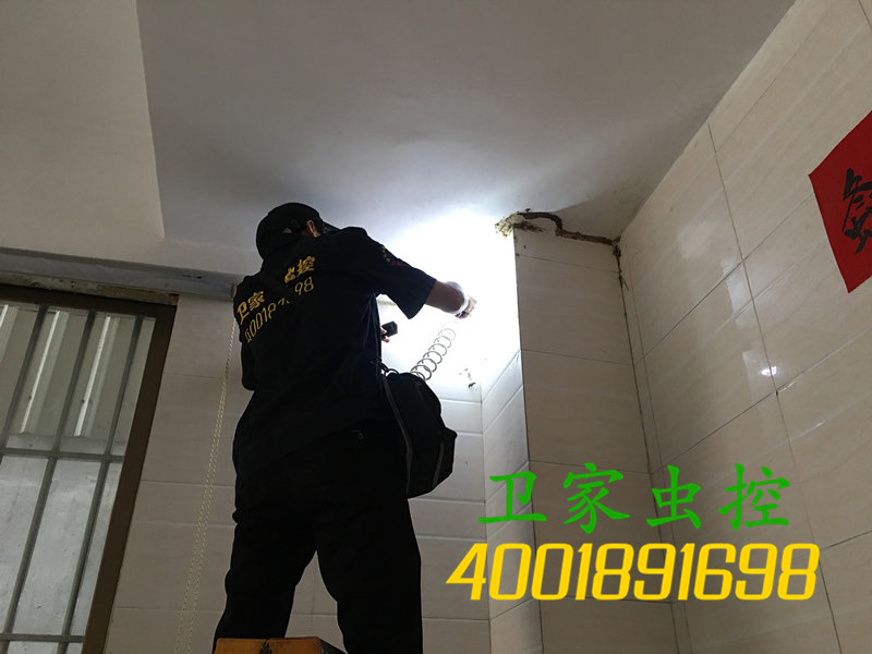 韶关新丰县白蚁防治所:灭白蚁的三种方法和白蚁防治的一些常规知识