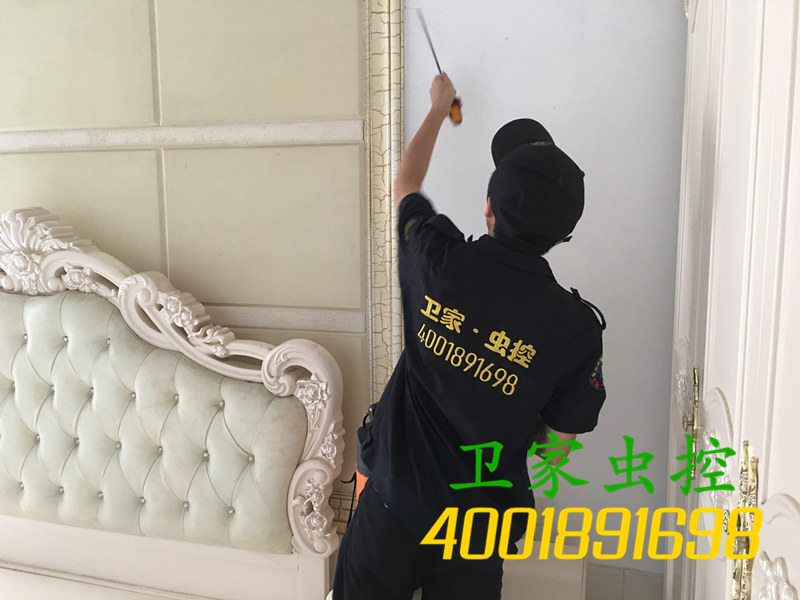 韶关浈江区白蚁防治所：广州三防白蚁中心知识的问与答让你学习更多白蚁知识